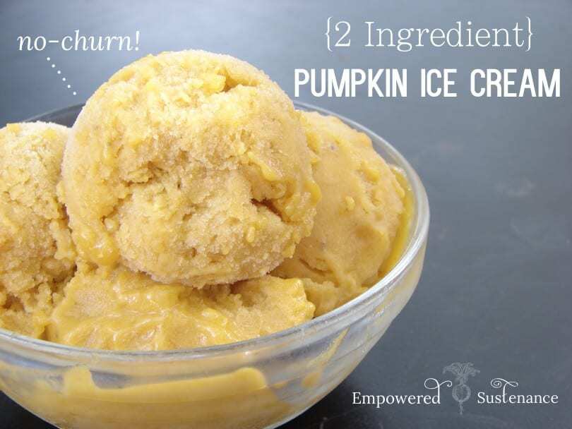 Two Ingredient Pumpkin Ice Cream