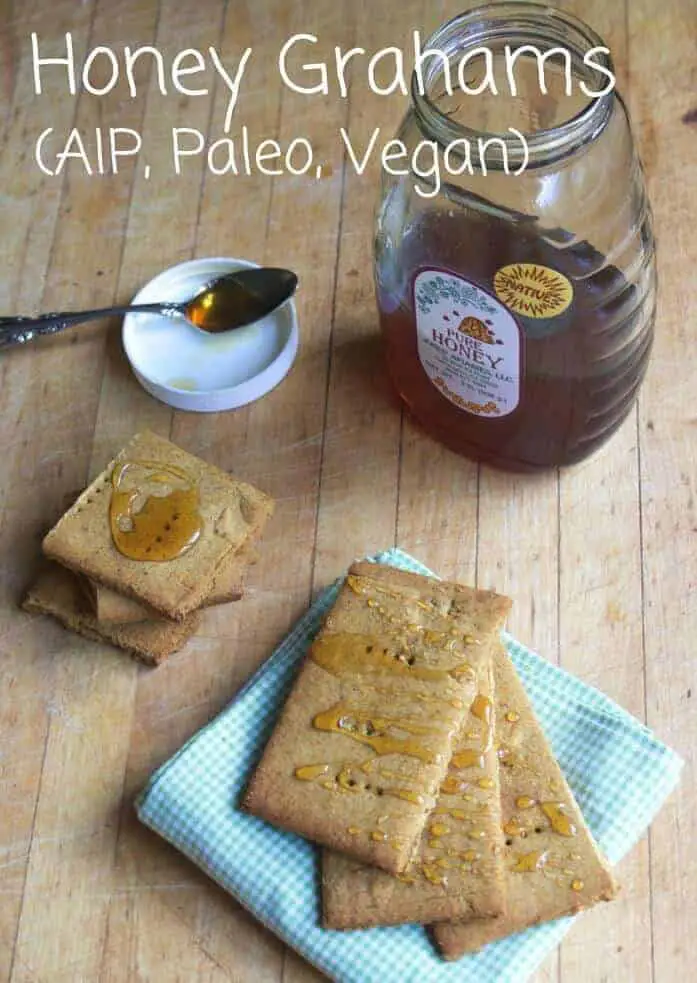 AIP Paleo Cassava and Tigernut Flour Honey Graham Crackers